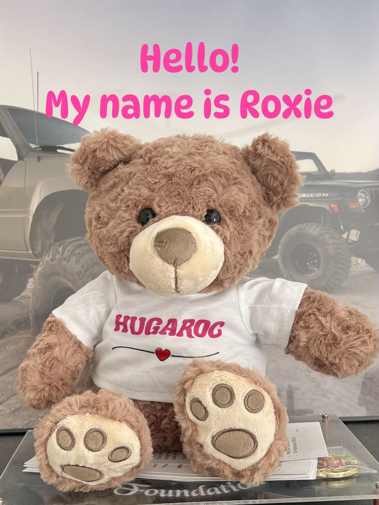 Roxie, the HUGAROC Foundation bear mascot